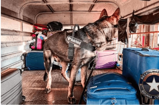 Receita Federal encontra mais de 20kg de cocaína em malas no Aeroporto JK