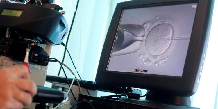 CFM já permite reprodução com material de casal do sexo masculino