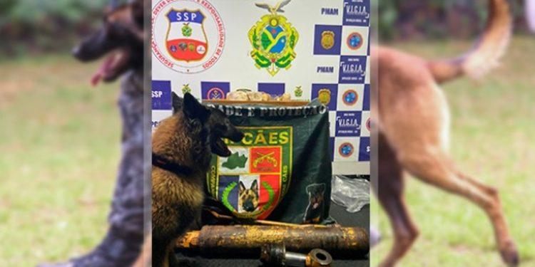 Cão policial Tyson encontra porções de cocaína, avaliada em R$ 87 mil, em barco no Amazonas