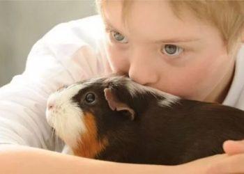 Como animais de estimação estimulam cérebro das crianças