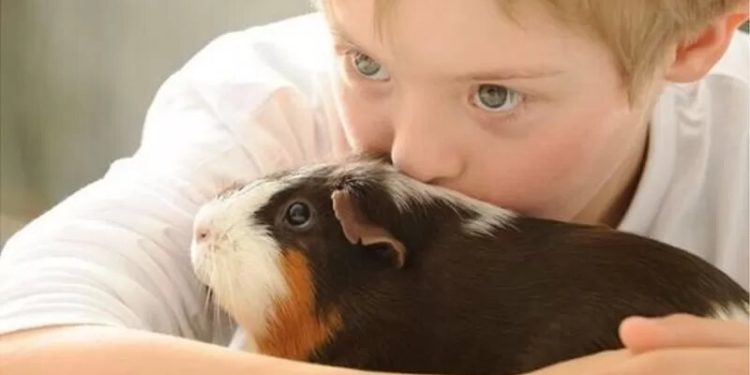 Como animais de estimação estimulam cérebro das crianças