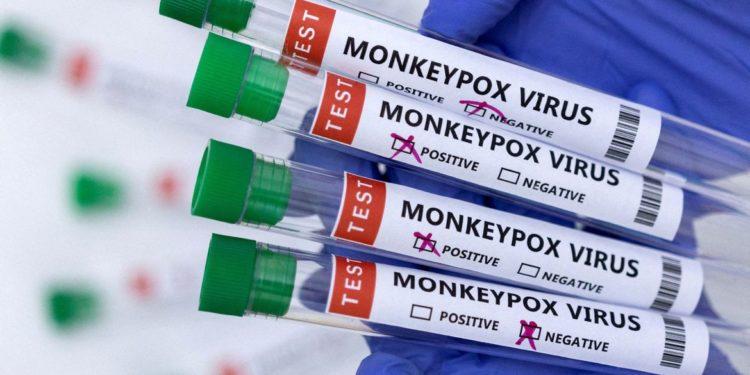 Cidade do Rio tem transmissão local de varíola dos macacos