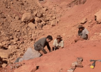 Dinossauro que pode ter sido maior predador da Europa é descoberto