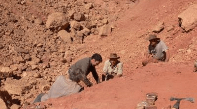 Dinossauro que pode ter sido maior predador da Europa é descoberto