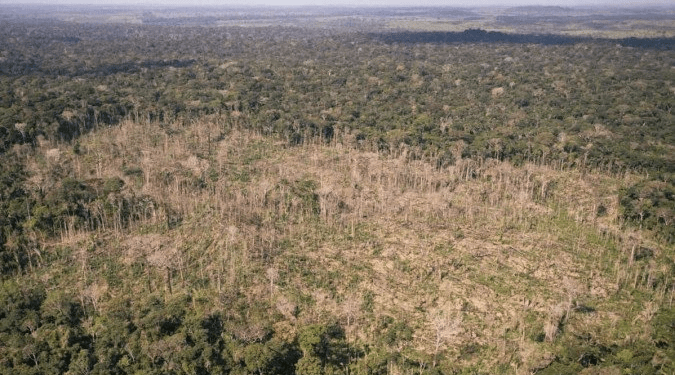 Desmatamento na Amazônia aumenta quase 13%, alerta Greenpeace