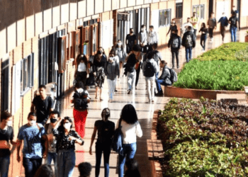 UnB é a quinta melhor universidade federal do país; confira ranking