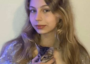 Menina que resgatou gato do bueiro segue os passos do pai veterinário, em BH