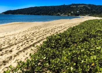 Turismo brasileiro cresce 47,7% em abril, aponta FecomercioSP