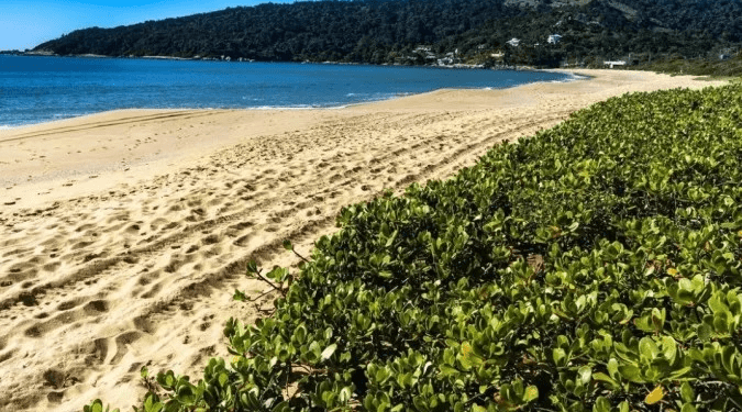 Turismo brasileiro cresce 47,7% em abril, aponta FecomercioSP