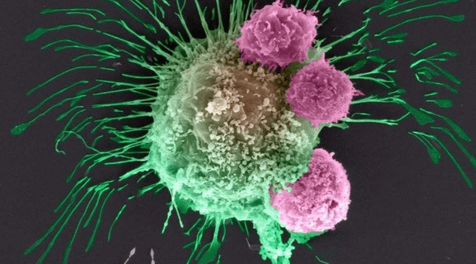 Células cancerígenas circulantes se espalham mais durante o sono, diz estudo