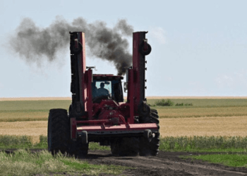 O desespero dos agricultores ucranianos com o bloqueio de cereais