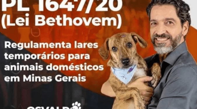 Cãozinho que perdeu olho em pet shop pode virar nome de lei – MG