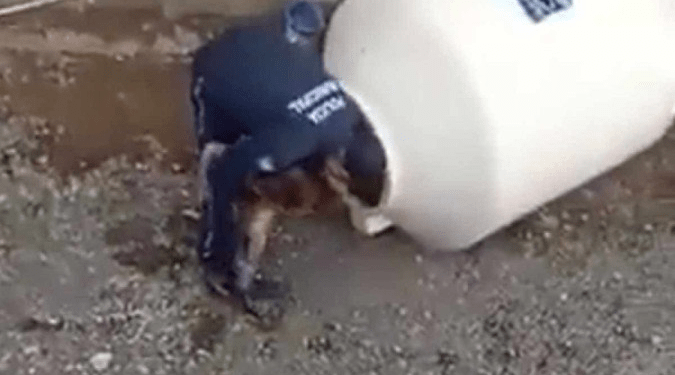 Menina de 3 anos é trancada em tanque para que pais pudessem trabalhar