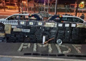 Ação policial resulta na maior apreensão de maconha do ano no DF