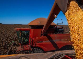 Agro tem desafio de ultrapassar 300 milhões de toneladas de grãos em 2023
