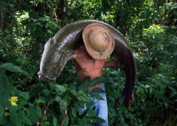 Governo abandona programas no Vale do Javari, e conflitos se intensificam