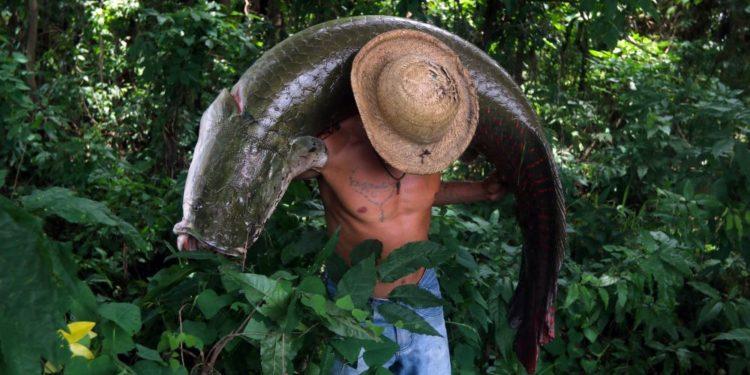 Governo abandona programas no Vale do Javari, e conflitos se intensificam