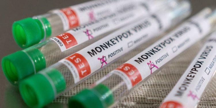 SP confirma mais dois casos de varíola dos macacos no estado