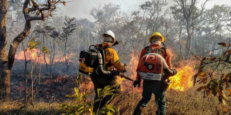 GDF vai contratar 150 brigadistas temporários para combate a incêndios