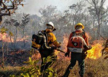 GDF vai contratar 150 brigadistas temporários para combate a incêndios