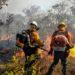 GDF vai contratar 150 brigadistas temporários para combate a incêndios