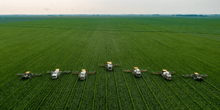 Brasil está entre países que mais reduzem impacto ambiental do agronegócio, diz Ipea