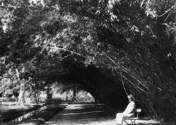 Jardim Botânico do Rio expõe imagens da missão belga de 1922 ao Brasil
