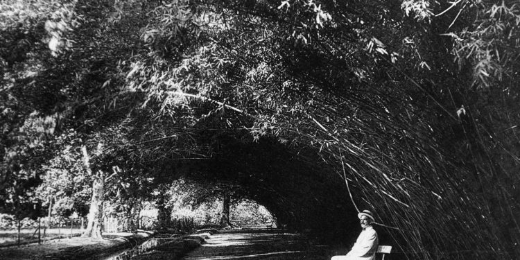 Jardim Botânico do Rio expõe imagens da missão belga de 1922 ao Brasil