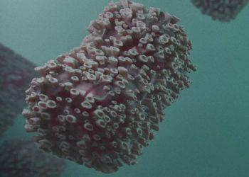 4° caso da varíola dos macacos é confirmado no Rio de Janeiro