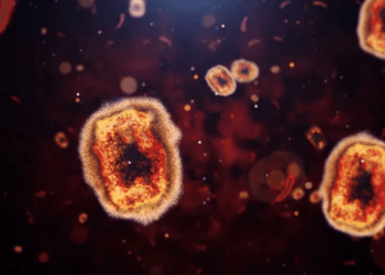 Brasil confirma primeiro caso de varíola dos macacos, na cidade de São Paulo