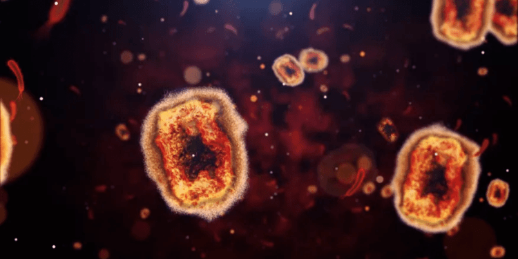 Brasil confirma primeiro caso de varíola dos macacos, na cidade de São Paulo