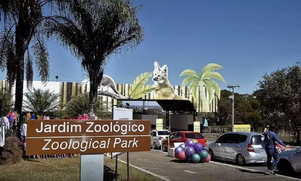 Zoológico de Brasília retoma visitas noturnas a partir de terça (21/6)