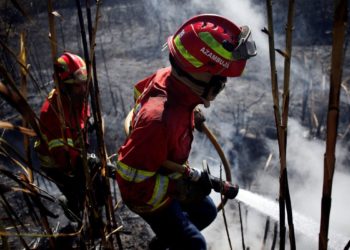 Portugal aumenta nível de alerta por altas temperaturas