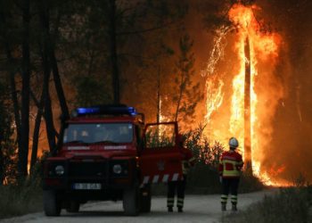 Onda de calor extenuante provoca incêndios florestais na Europa