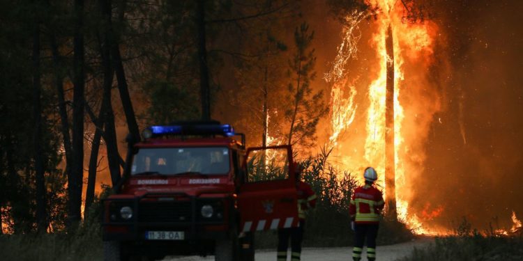 Onda de calor extenuante provoca incêndios florestais na Europa