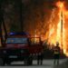 Onda de calor extenuante provoca incêndios florestais na Europa