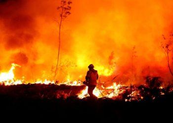 França se prepara para recordes de calor e incêndios florestais