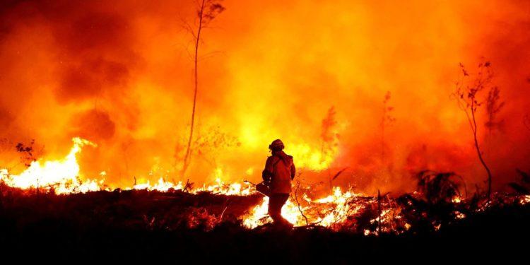 França se prepara para recordes de calor e incêndios florestais