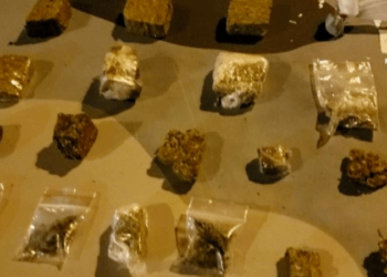 Polícia encontra 19 porções de maconha em árvore no Guará