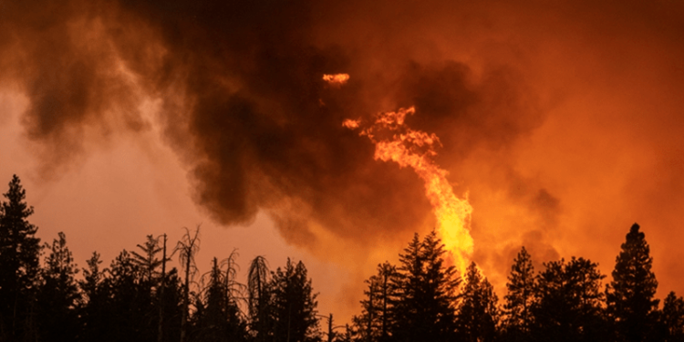 Milhares de pessoas são evacuadas enquanto fogo na Califórnia se espalha
