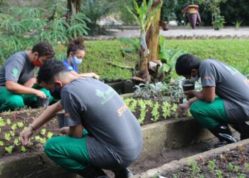 Escola Nacional do Jardim Botânico abre vagas para jovens no Rio