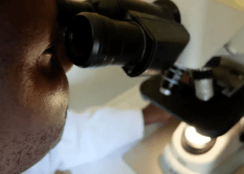 Gana tem primeiro surto do vírus Marburg; saiba mais sobre o “primo” do Ebola