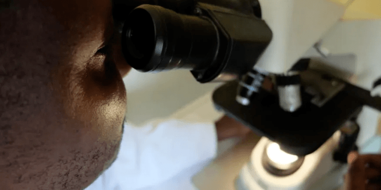 Gana tem primeiro surto do vírus Marburg; saiba mais sobre o “primo” do Ebola