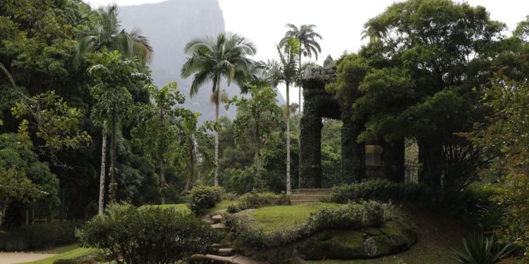 Acervo fotográfico do Jardim Botânico do Rio será revitalizado