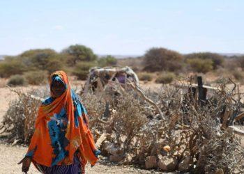 África Oriental: insegurança alimentar grave ameaça mais de 50 milhões