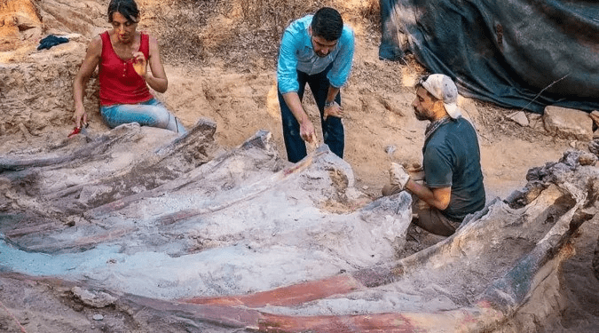 Enorme dinossauro saurópode é descoberto em Portugal