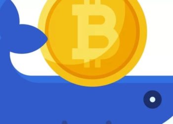 Quem são os investidores ‘camarão’ e ‘baleia’ que tentam salvar o bitcoin do colapso