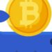 Quem são os investidores ‘camarão’ e ‘baleia’ que tentam salvar o bitcoin do colapso