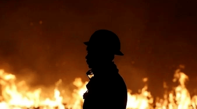 Quase R$ 300 mi em multas ambientais podem prescrever em 2022; valor perdido vem subindo desde 2017