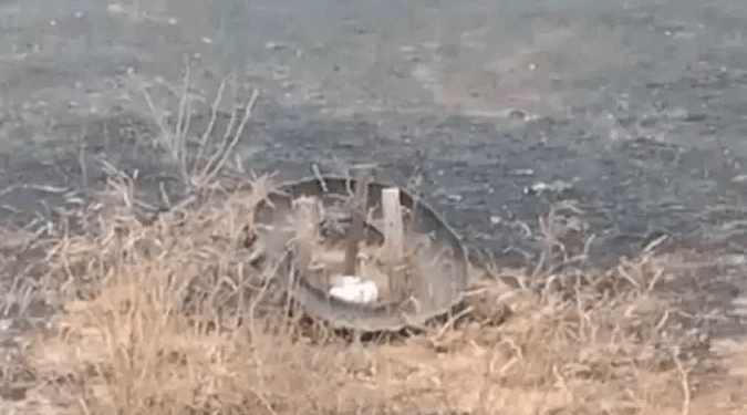Galinha resiste a calor e fumaça de queimada para proteger ninho, em MG